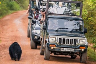 Circuit Multi activités au Sri Lanka