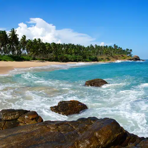 Le Grand Tour du Sri Lanka – Image 4