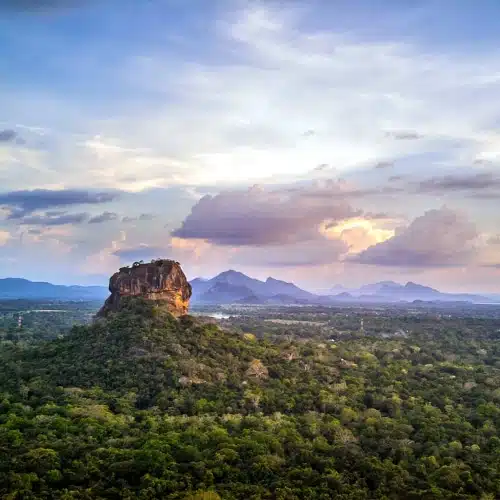 Voyage Nature et découverte au Sri Lanka