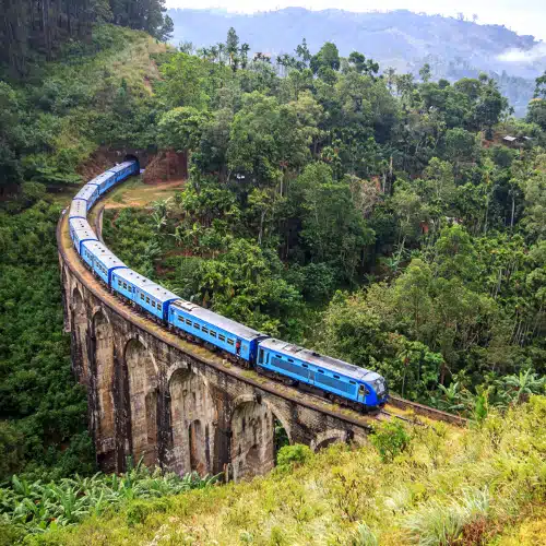 Voyage Nature et découverte au Sri Lanka – Image 3