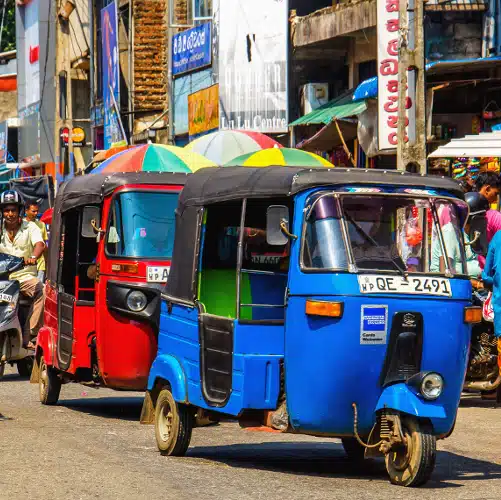 Petites aventures au Sri Lanka – Image 2
