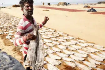 Voyage Sri Lanka en groupe – Image 2
