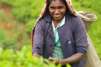 Voyage Sri Lanka culturel – Image 4