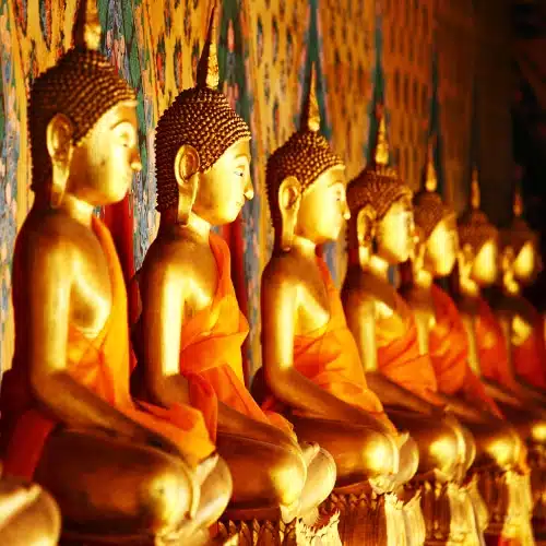 Voyage Sri Lanka culturel