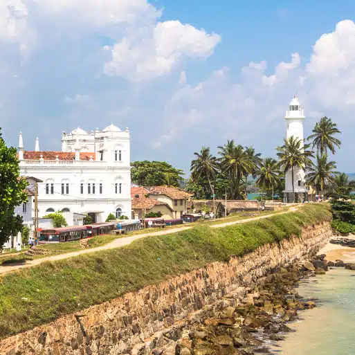 Voyage Sri Lanka en Famille – Image 3