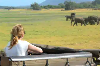 Voyage Sri Lanka en Famille – Image 4