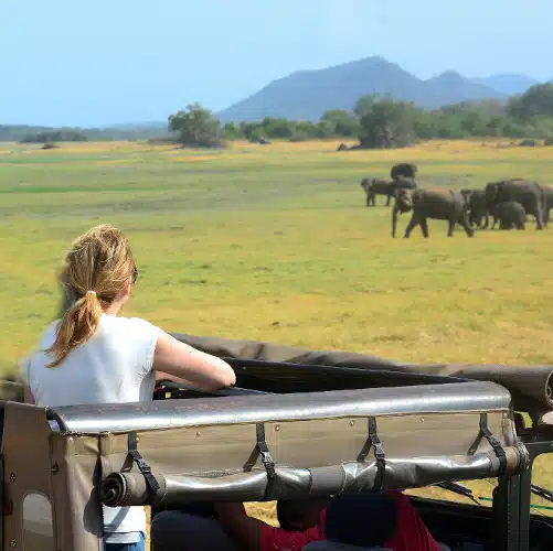 Voyage Sri Lanka en Famille – Image 4