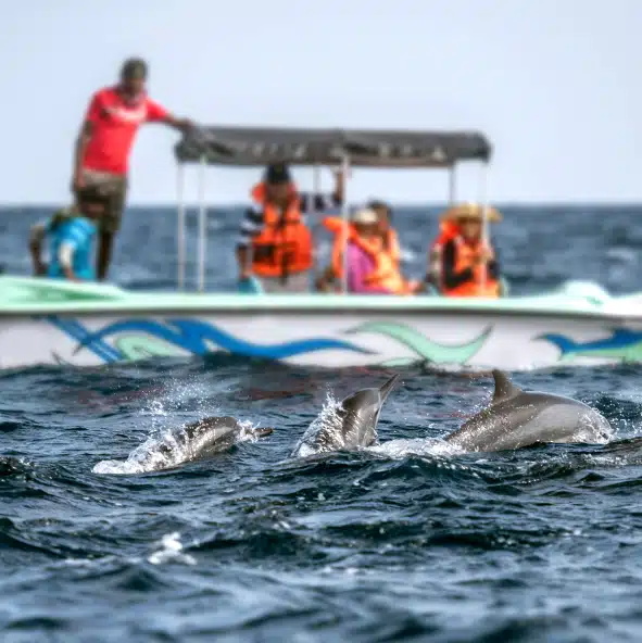 Voyage Sri Lanka en Famille – Image 5