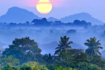 Trekking Sri Lanka sur la route du thé – Image 4