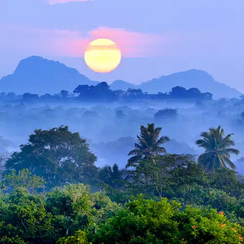 Trekking Sri Lanka sur la route du thé – Image 4