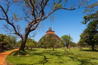 Anuradhapura