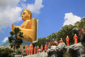 Diversités du Sri Lanka – Image 7