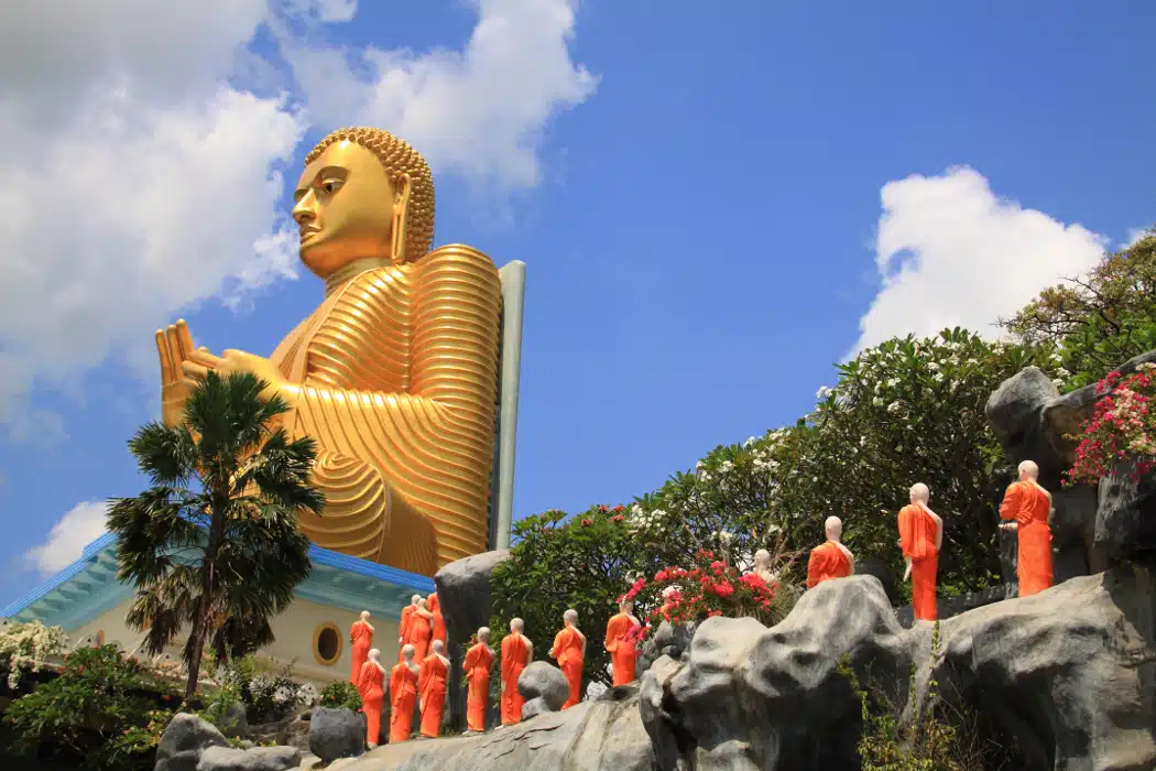 Diversités du Sri Lanka – Image 7