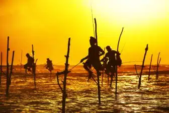 Voyage au Sud du Sri Lanka