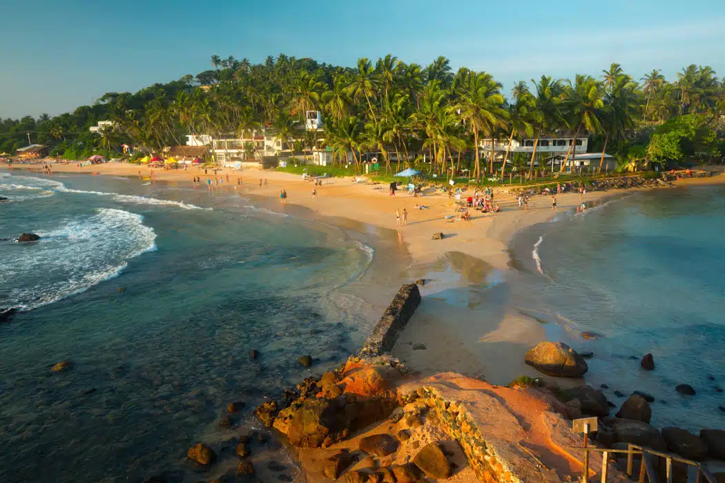 Diversités du Sri Lanka