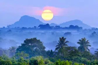 Kanneliya