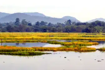Wasgamuwa