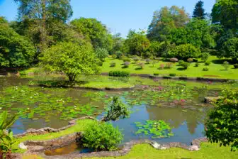 Jardins botaniques de Peradeniya