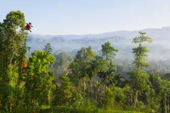Ratnapura