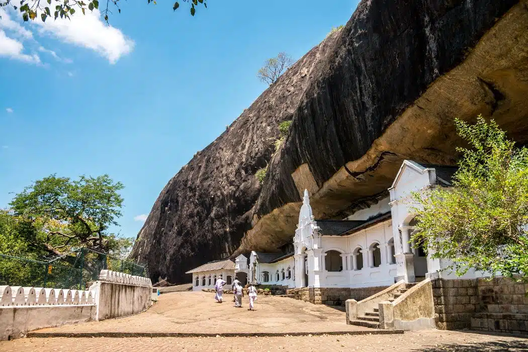 Diversités du Sri Lanka – Image 6