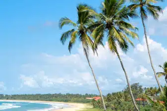 Voyage Sri Lanka en groupe – Image 4
