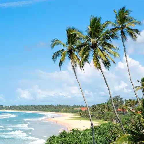 Voyage Sri Lanka en groupe – Image 4