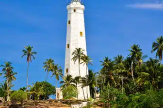 Voyage Sri Lanka en groupe – Image 5