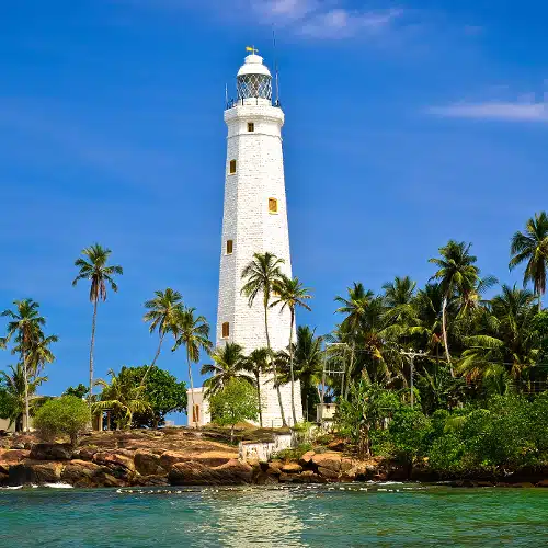 Voyage Sri Lanka en groupe – Image 5