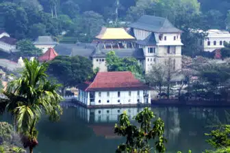 Voyage Sri Lanka en groupe – Image 3