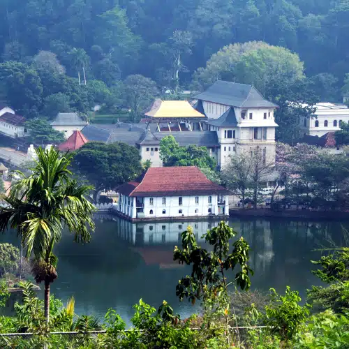 Voyage Sri Lanka en groupe – Image 3