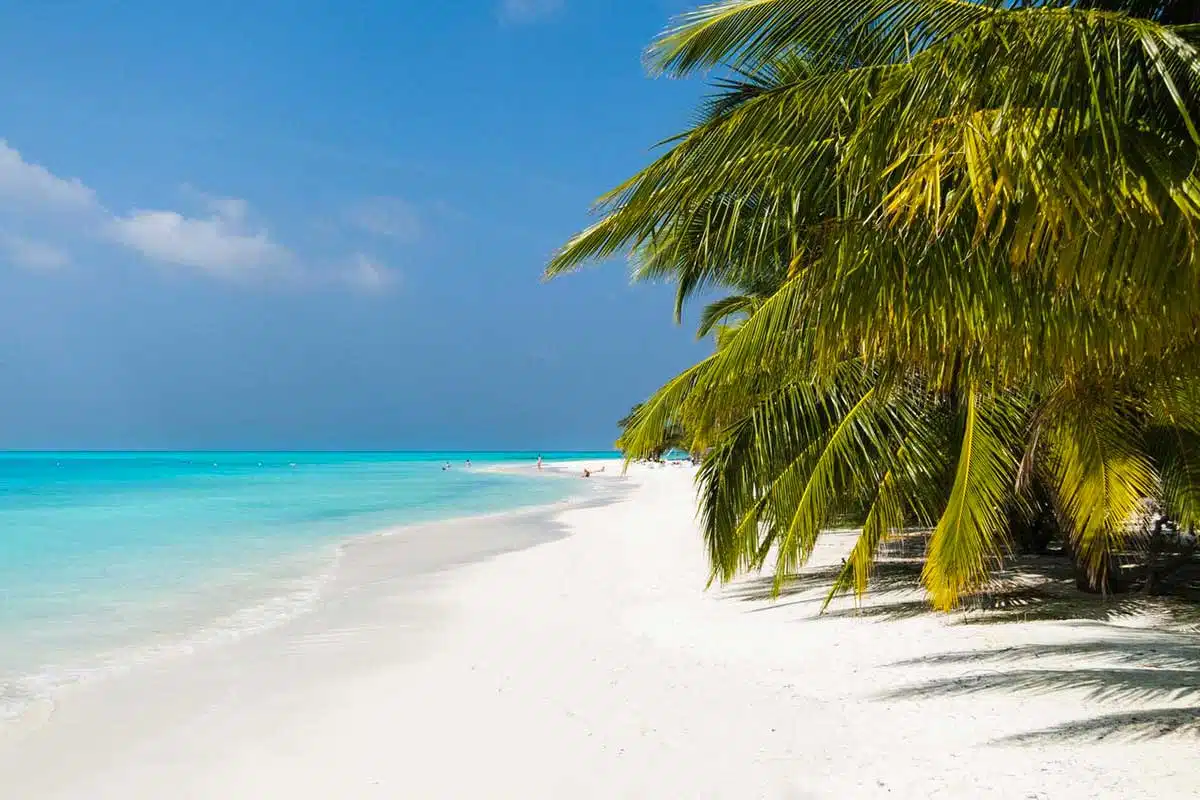 Frédéric – voyage au Sri Lanka – août 2024