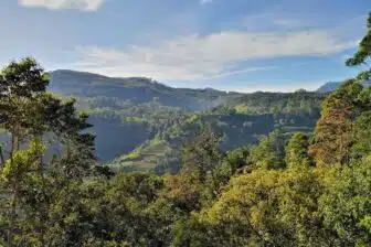 Essentiels du Sri Lanka + extension balnéaire – Image 7