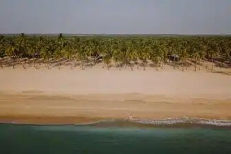 Essentiels du Sri Lanka + extension balnéaire – Image 14