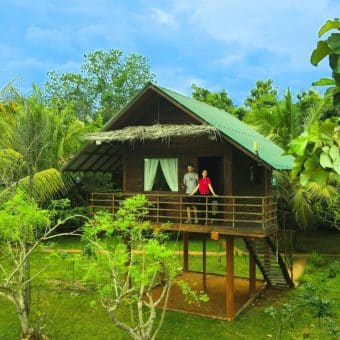 Chena Huts Eco Resort Dambulla