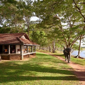 Hôtels de charme et luxe à Habarana