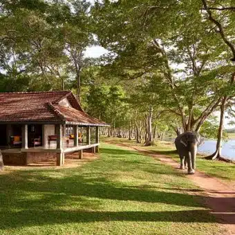 Hôtels de charme et luxe à Habarana